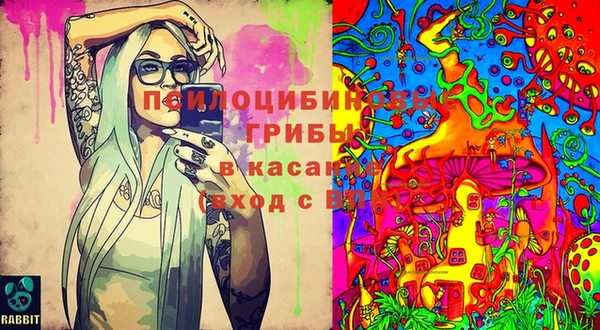 MDMA Аркадак