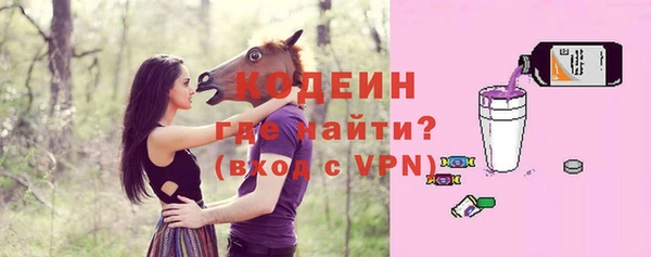гашик Арсеньев