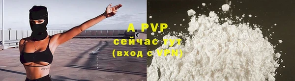 гашик Арсеньев