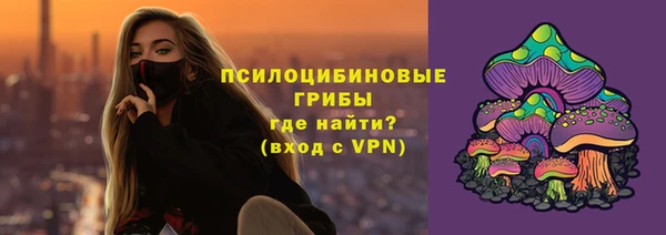 гидра Армянск