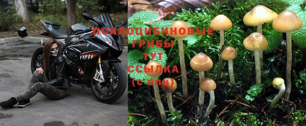 гидра Армянск