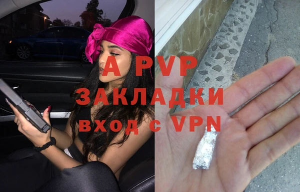 гашик Арсеньев