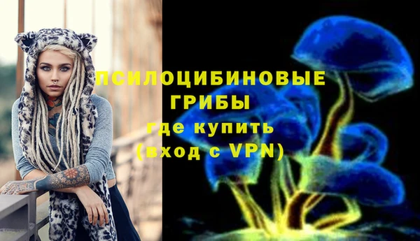 гашик Арсеньев