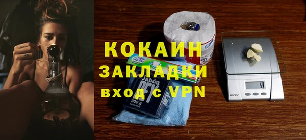 гашик Арсеньев