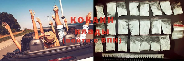 гашик Арсеньев